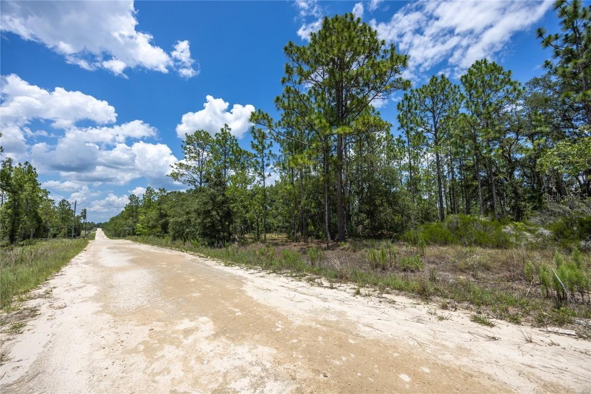 NE 150th Ct., Williston, FL 32696