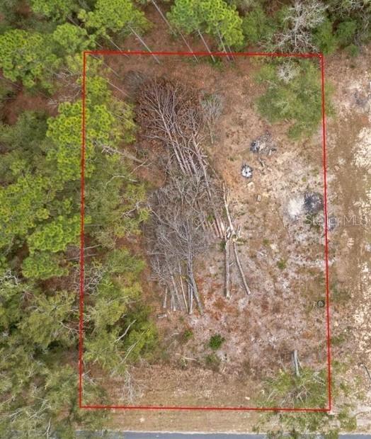Ne State Road 121, Williston, FL 32696