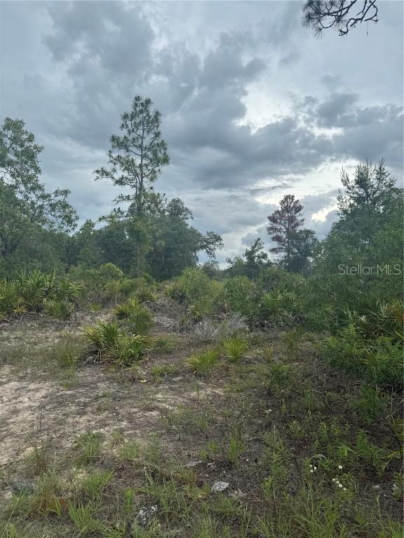 Ne  105st, Archer, FL 32618