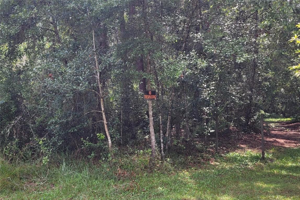 101 Beach Dr., Florahome, FL 32140