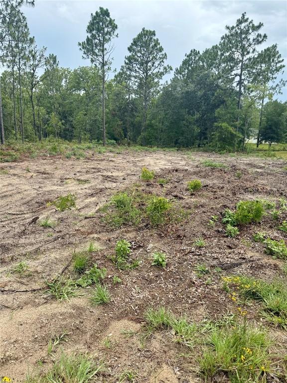 TBD NE 151st Ter., Williston, FL 32696
