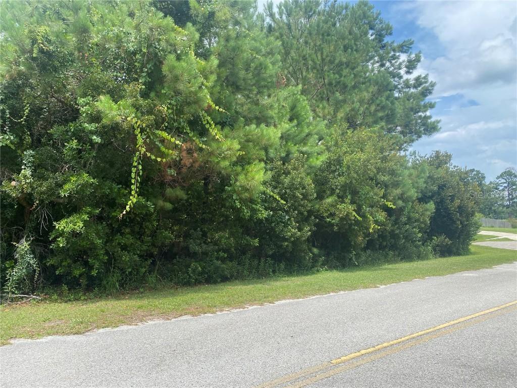 SW 83rd Ter., Lake Butler, FL 32054
