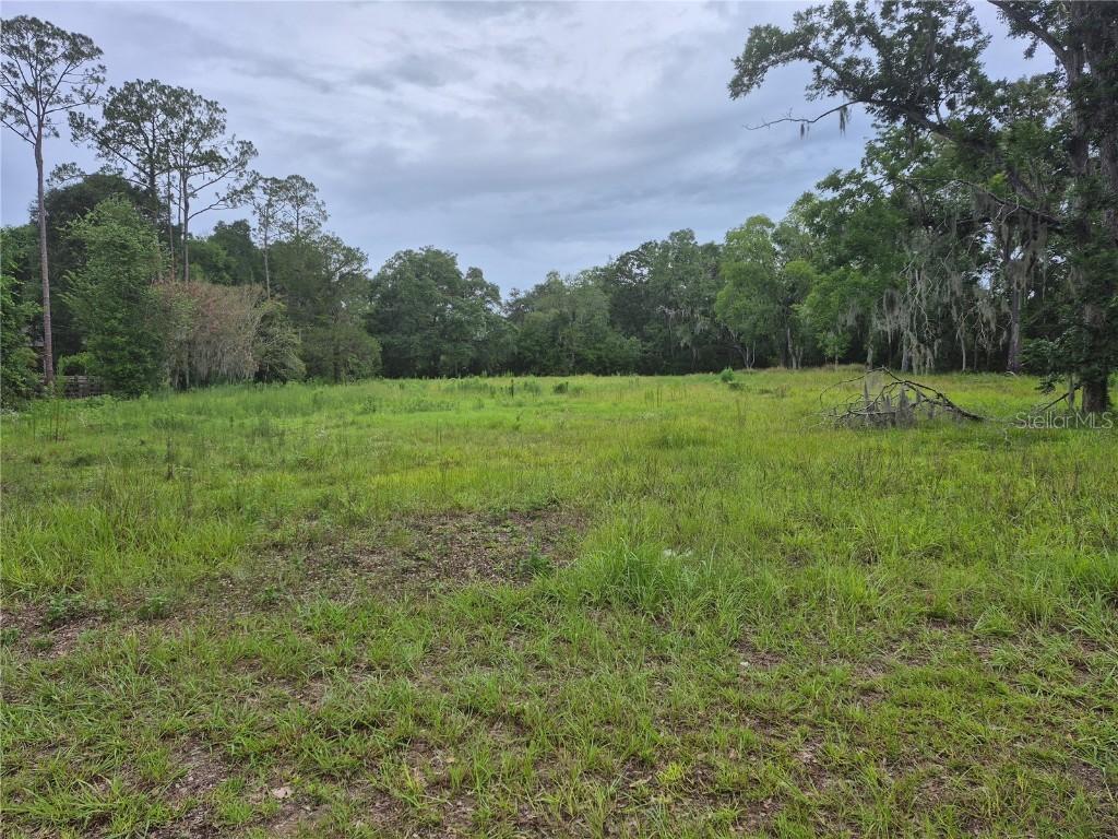 1224 NW 143rd St., Newberry, FL 32669