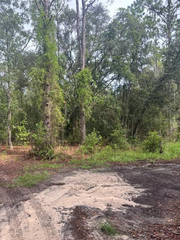 72nd Pl., Bronson, FL 32621