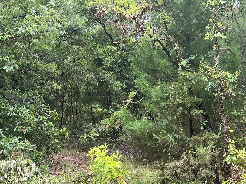 NE 70th Ave., High Springs, FL 32643
