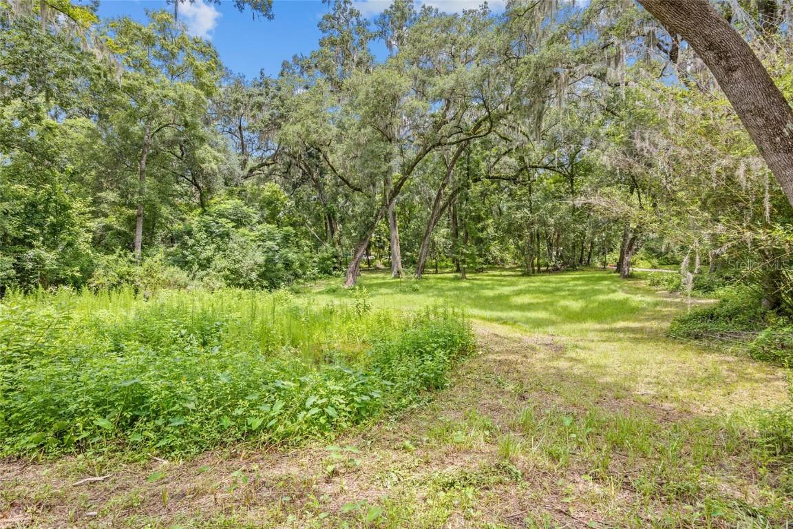 23 SW 43rd Ter., Gainesville, FL 32607
