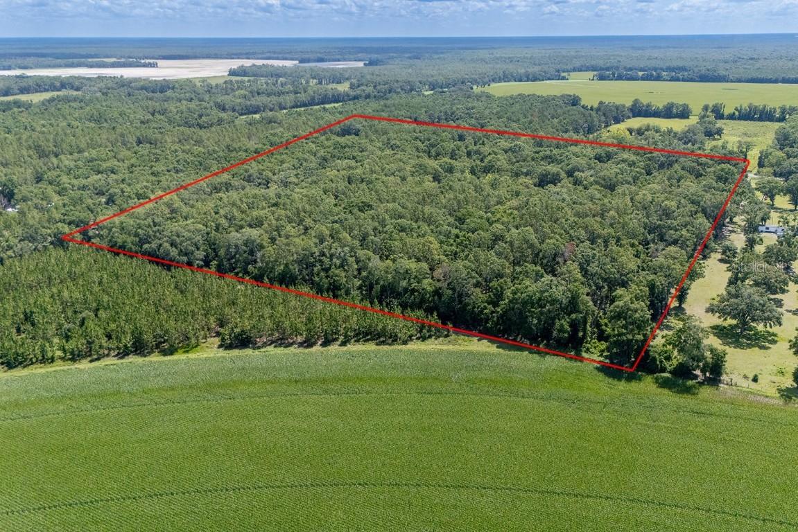8289 NE Highway 349, Old Town, FL 32680