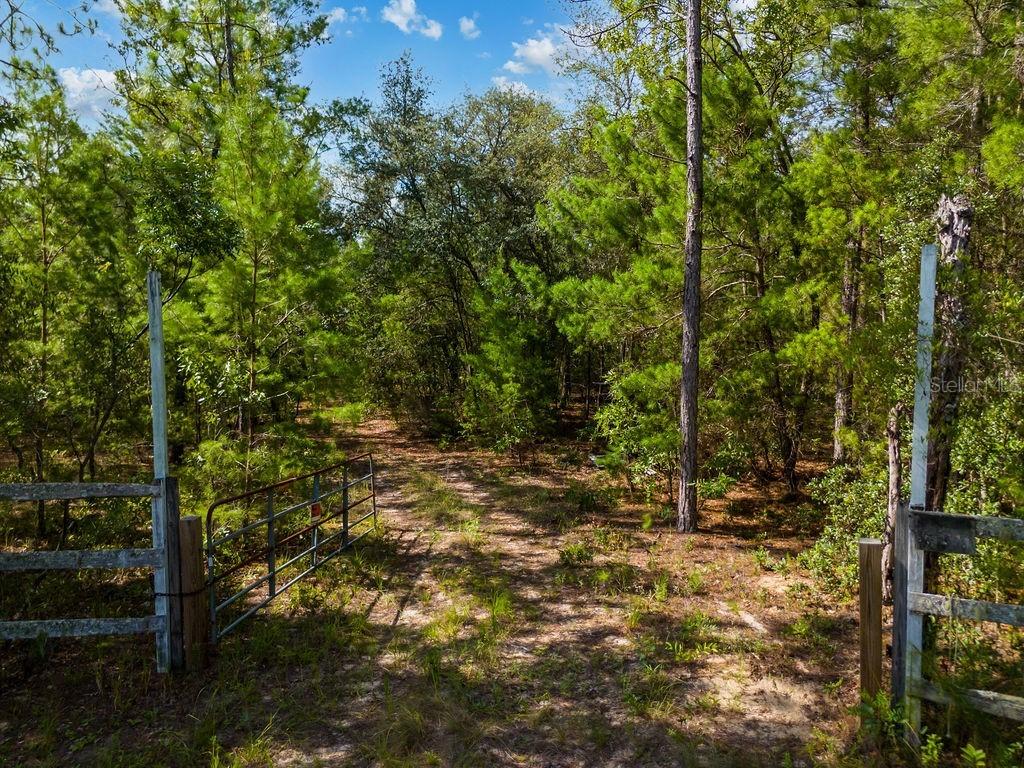 6474 Golden Oak Ln., Keystone Heights, FL 32656