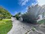 New Foreclosures & Short Sales in Brooker: July 14th to July 20th