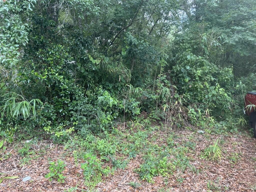 SE 4th Ave., Gainesville, FL 32641