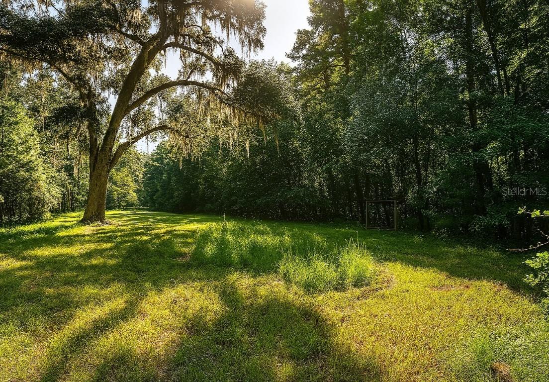 13602 NW 218th Ln., Alachua, FL 32615