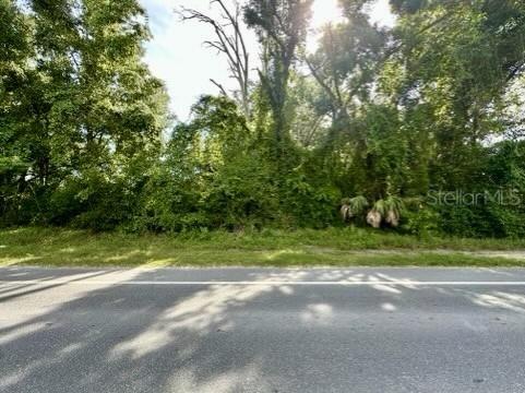 S Main St., Bell, FL 32619