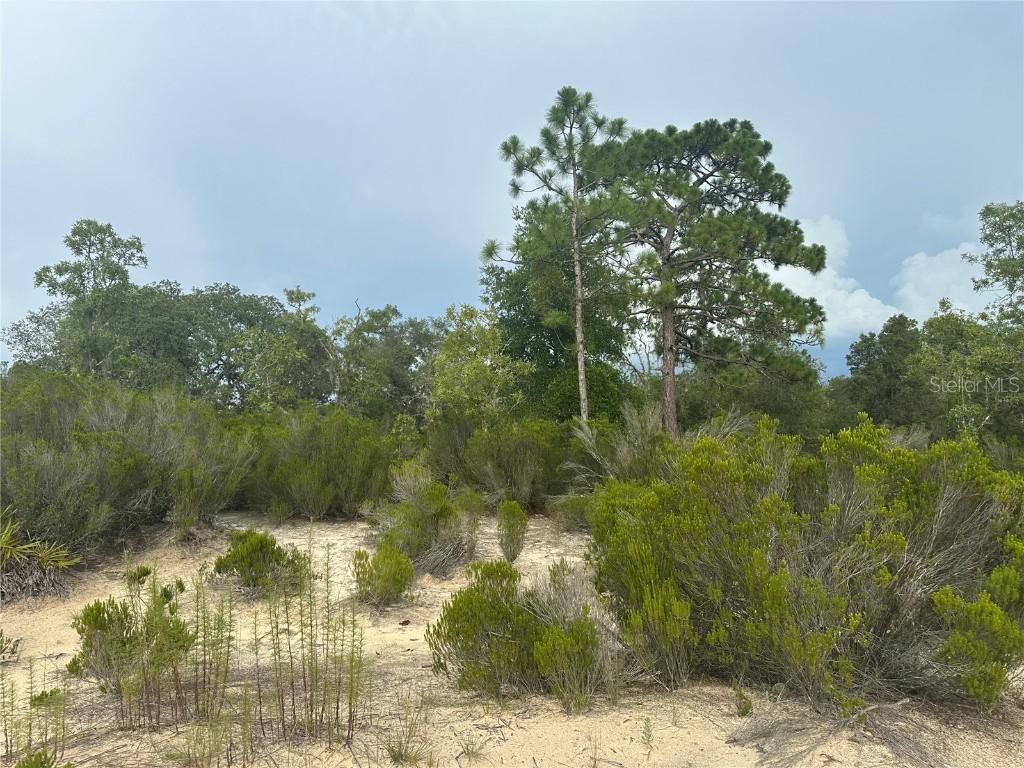 NE 85th St, Bronson, FL 32621