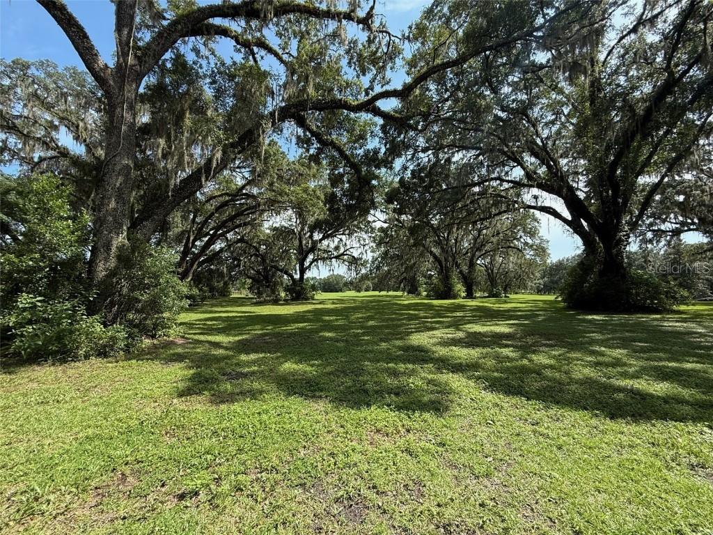 16419 SW 15th Ave., Newberry, FL 32669