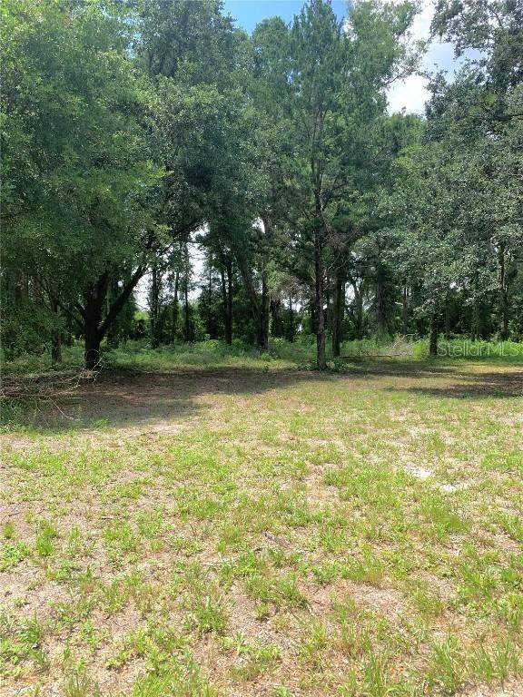 SW 19th Cir., Trenton, FL 32693
