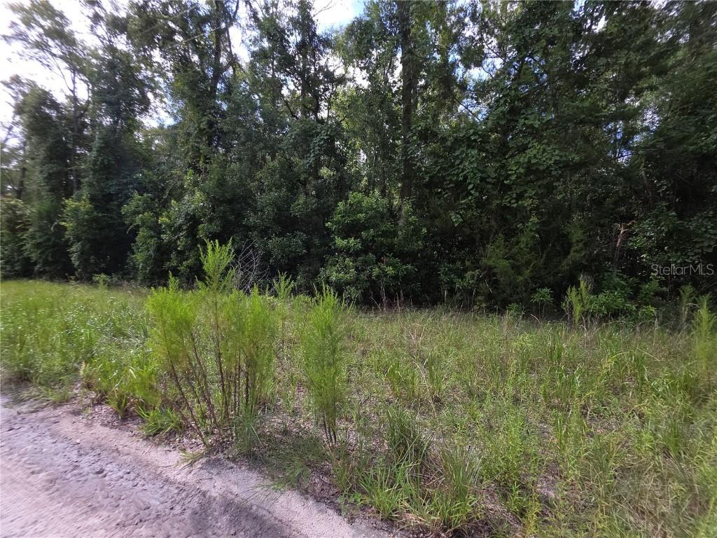 280 Ter., Branford, FL 32008