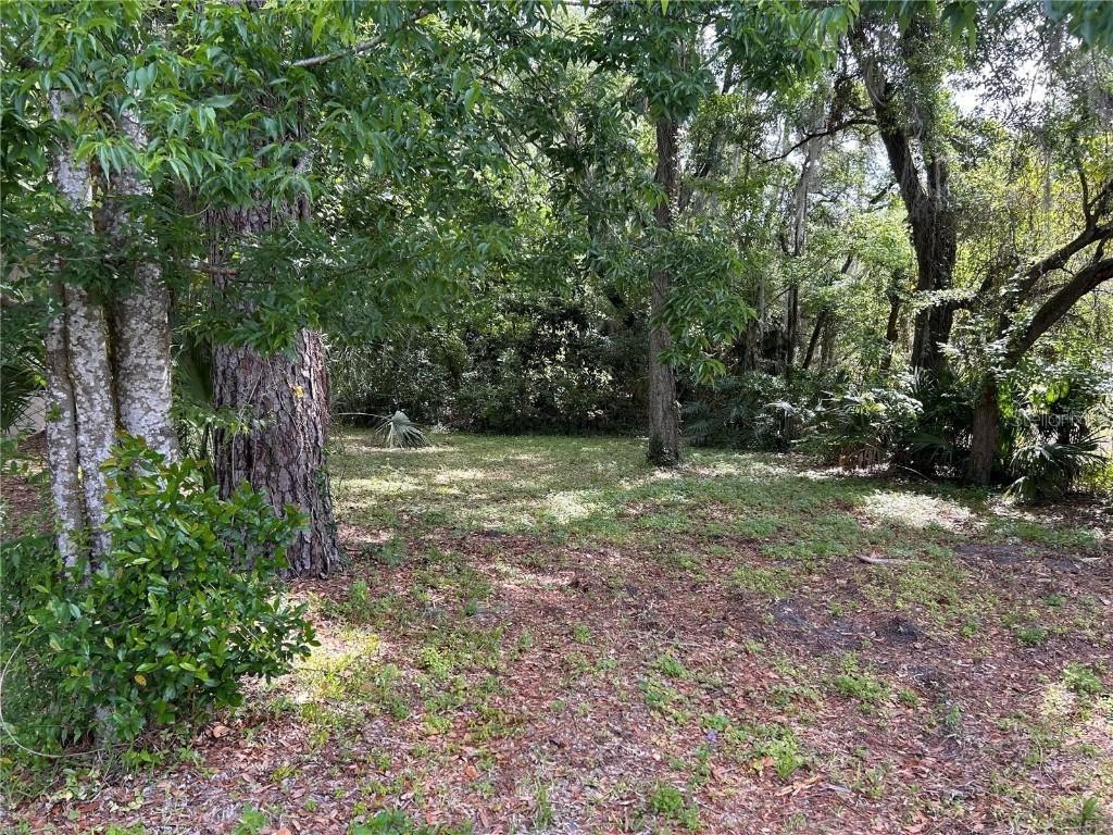 TBD SE 12th St., Gainesville, FL 32641
