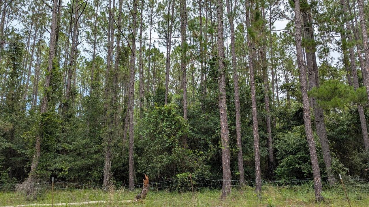 TBD SE 3rd Pl., Gainesville, FL 32641
