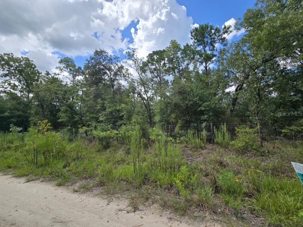 TBD NE 77 Ln., Bronson, FL 32621