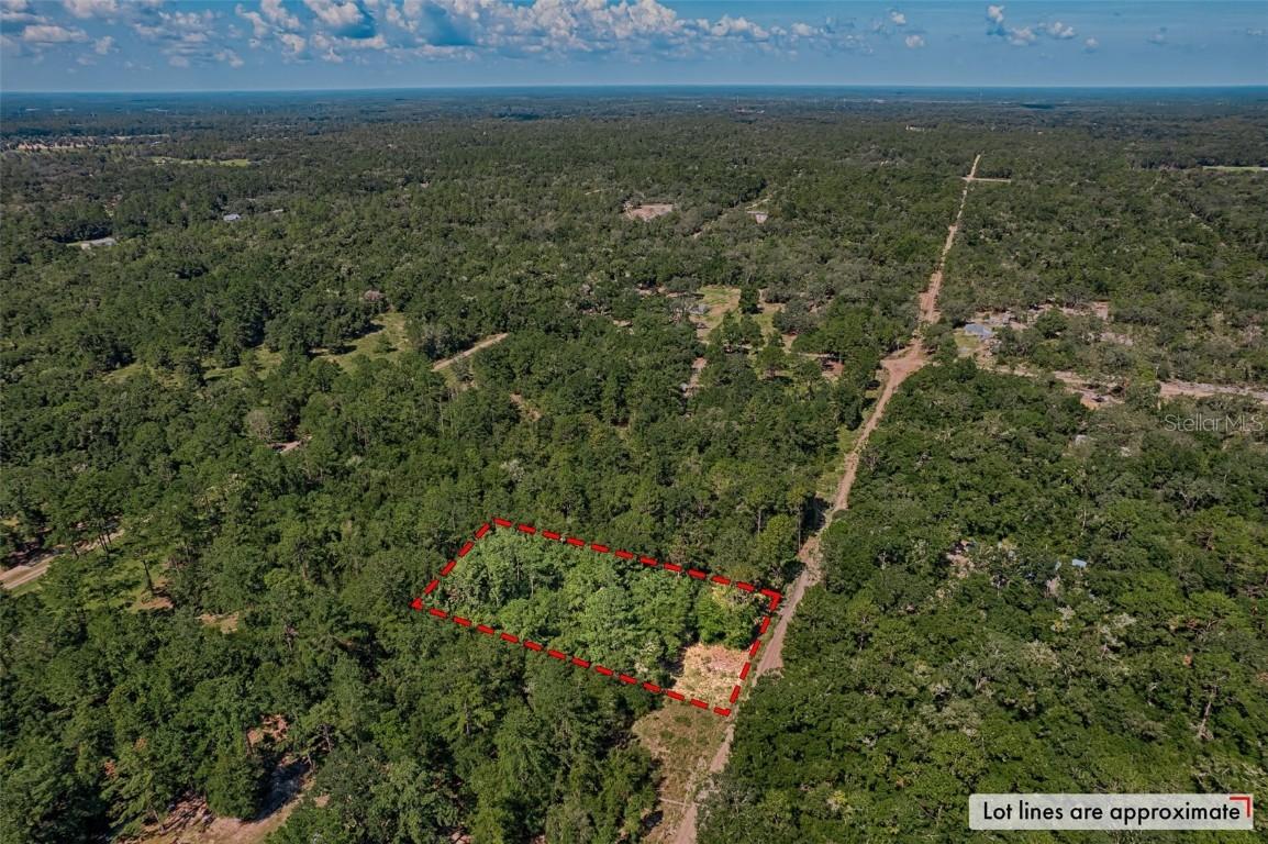 000 NE 83rd Ln., Bronson, FL 32621