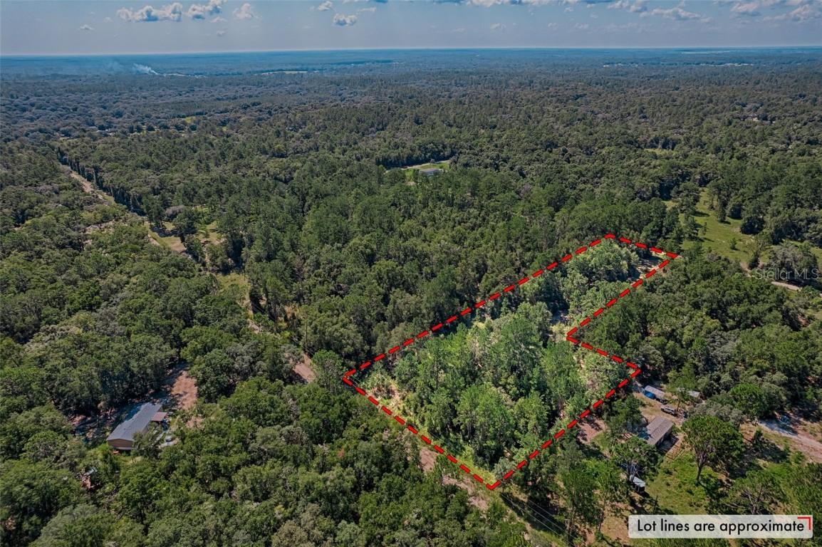 TBD NE 83rd Ln., Bronson, FL 32621
