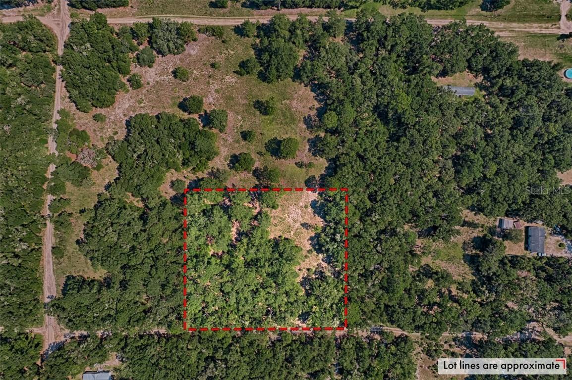 NE 81st St., Bronson, FL 32621