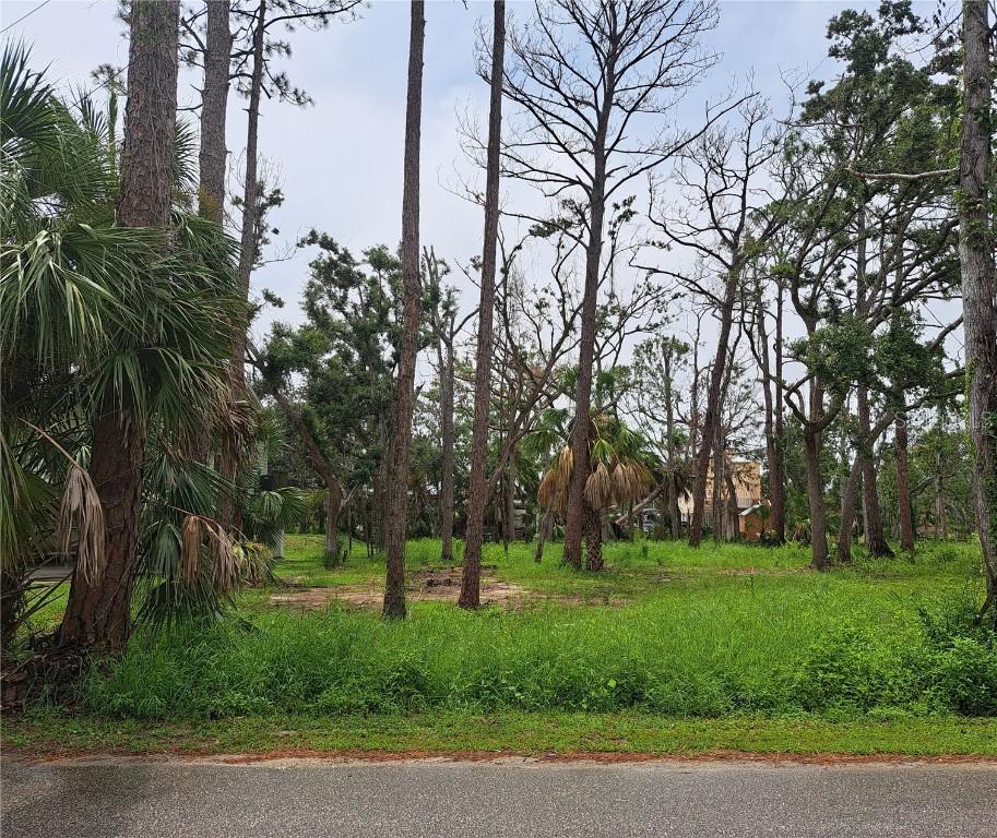 401 W 1st St. #Lot #4, Steinhatchee, FL 32359