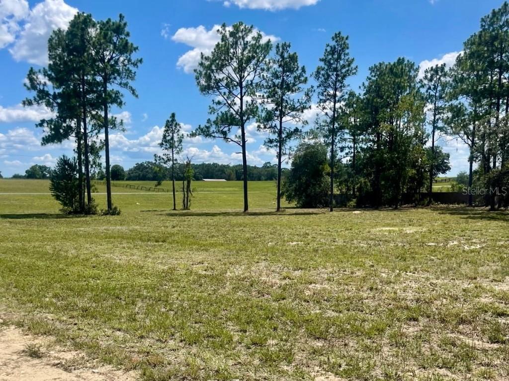 NE 137th Ave., Williston, FL 32696