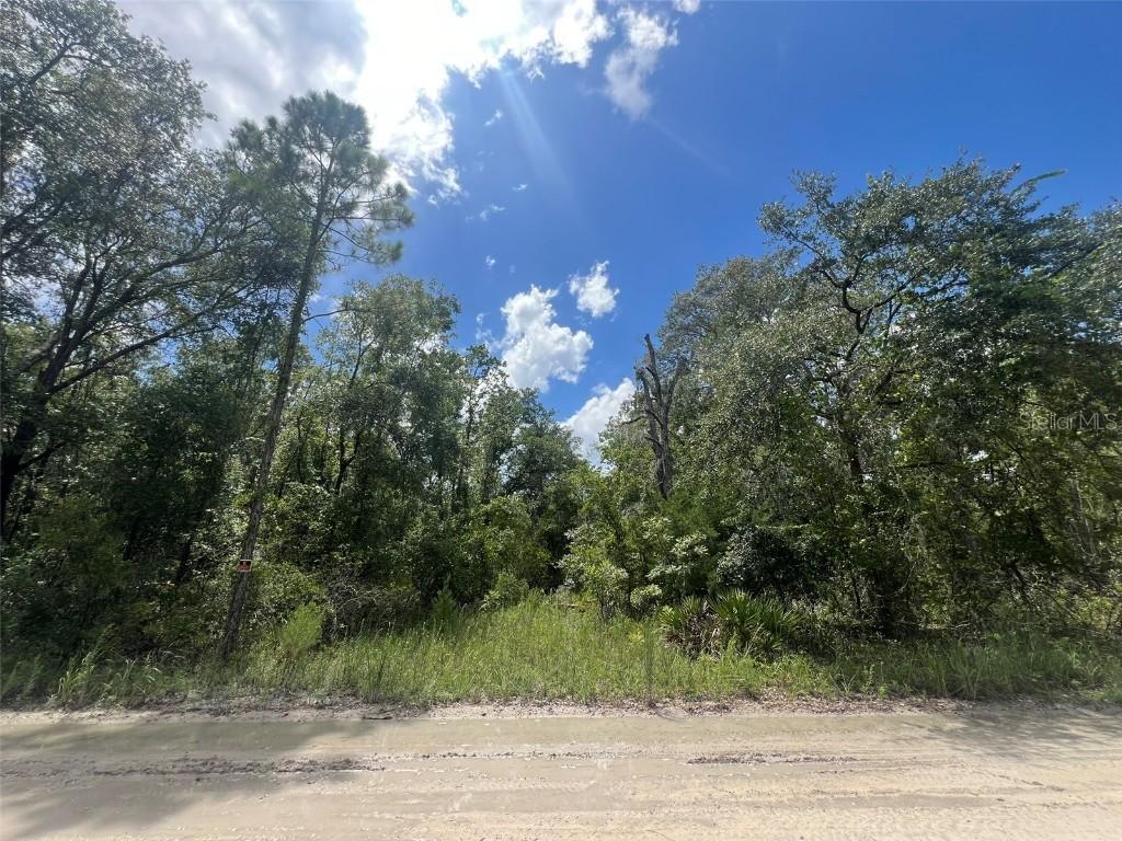 Lot 11 NW 11th Ave., Bell, FL 32619