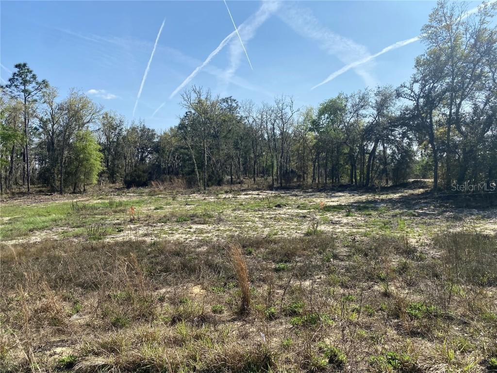 150th Ln., Williston, FL 32696