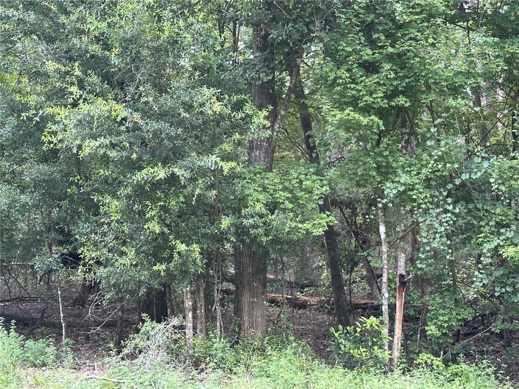 TBD SW Reno Way, Fort White, FL 32038