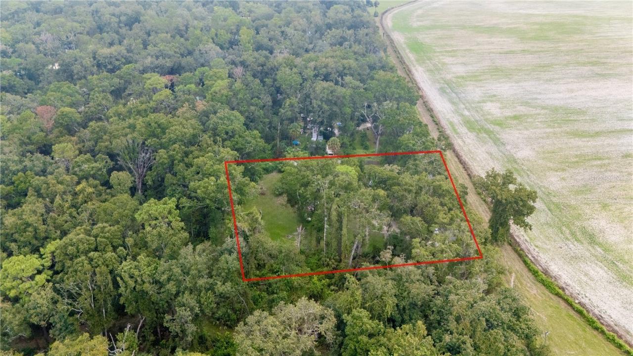 11790 NW 110th Ave., Chiefland, FL 32626