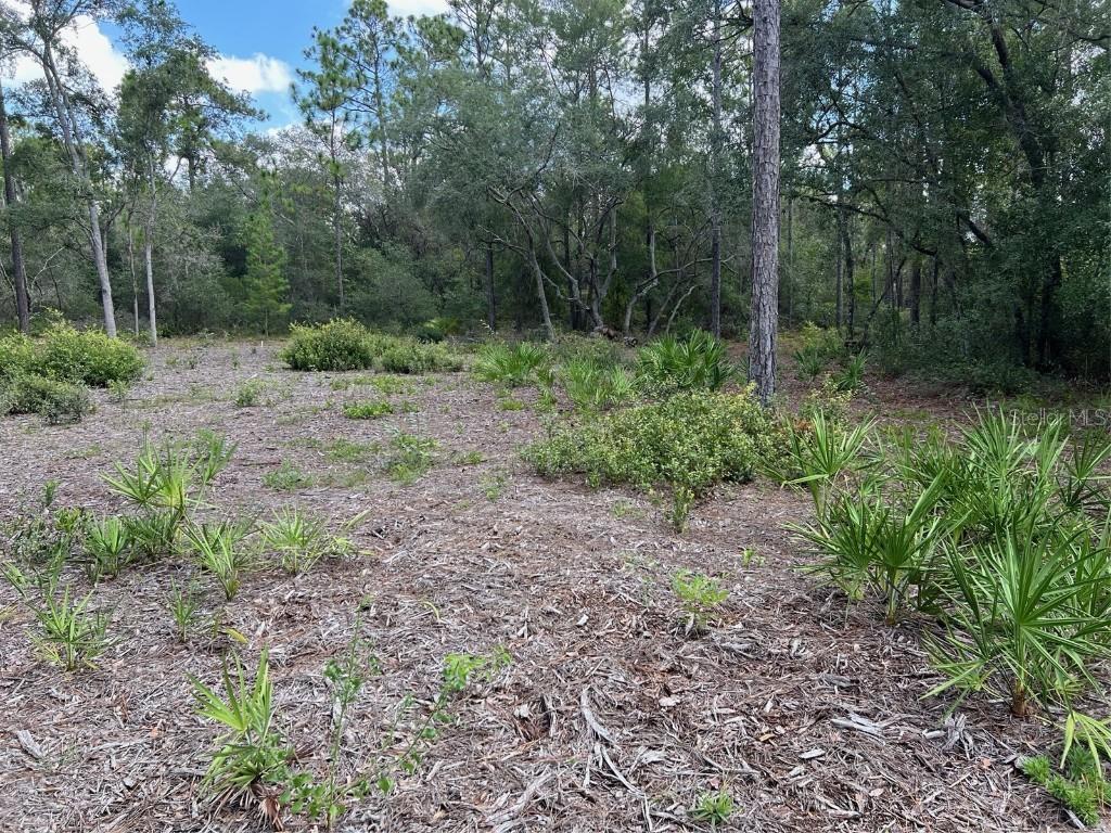 5578 Lassen St., Keystone Heights, FL 32656