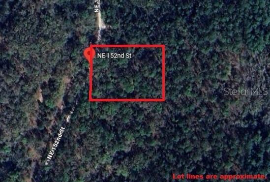 NE 152nd St., Waldo, FL 32694