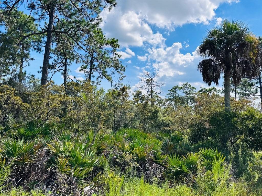 00 SW 52 Pl., Cedar Key, FL 32625