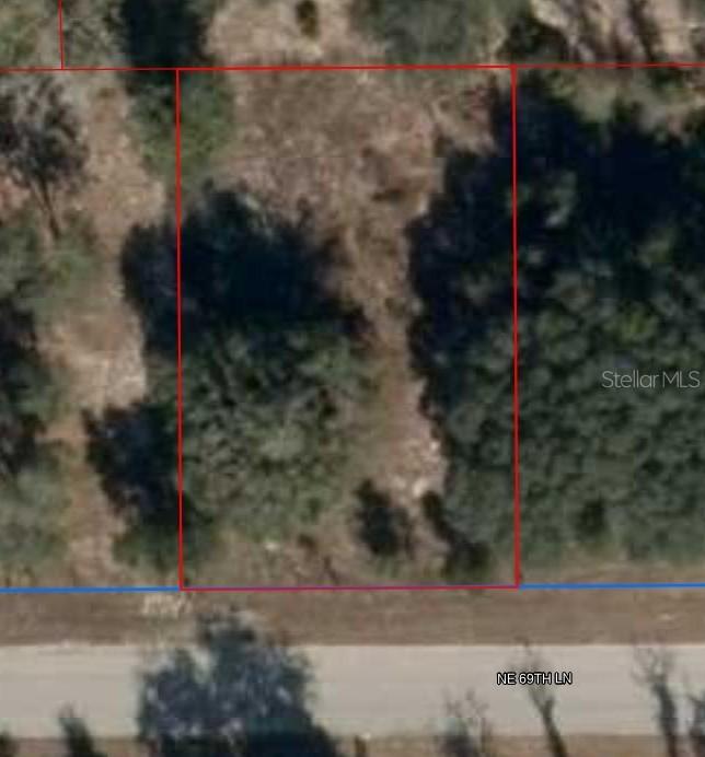 11465 NE 69th Ln., Williston, FL 32696