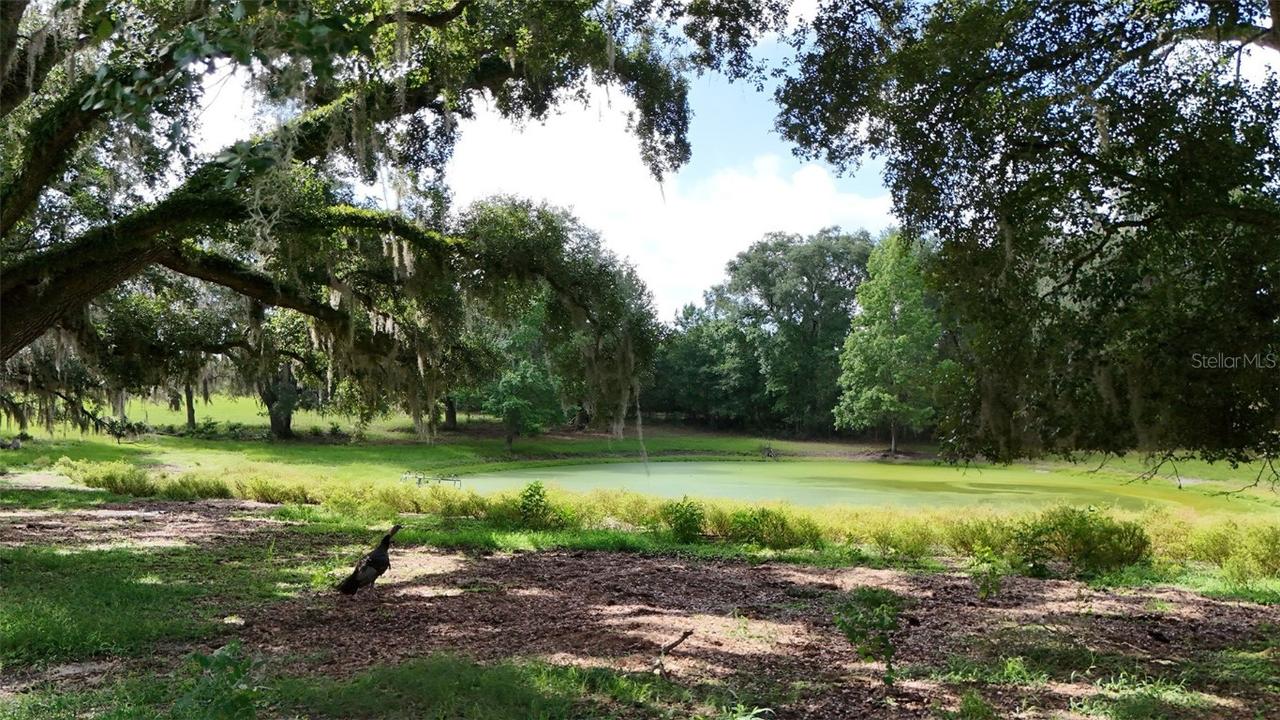 SW County Road 778, Fort White, FL 32038