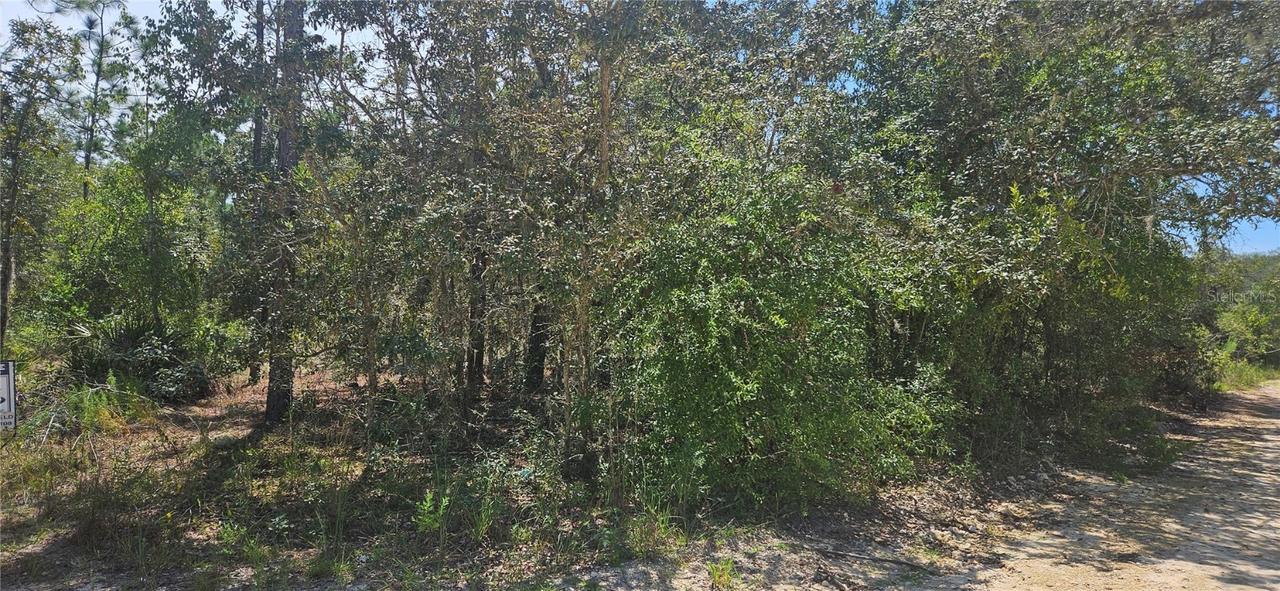 NE 67th Ln, Bronson, FL 32621