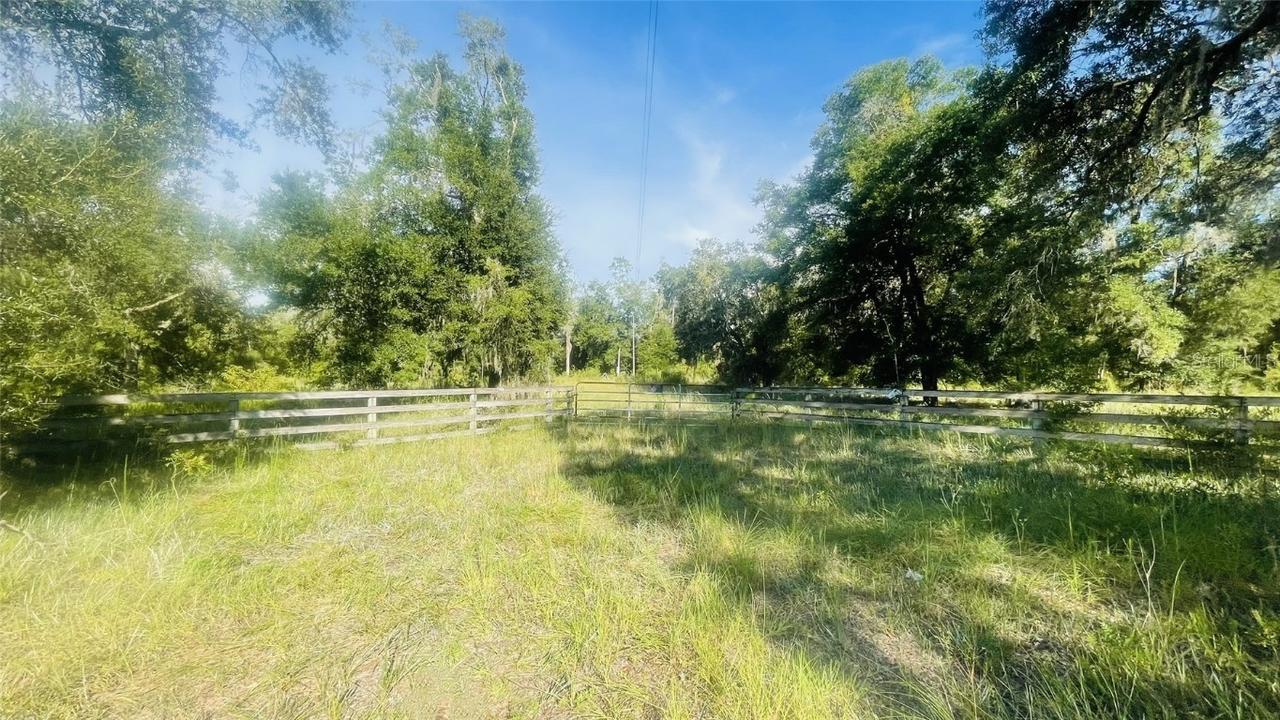 5037 SE Hwy 349, Old Town, FL 32680