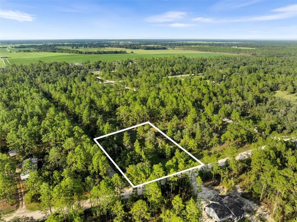None, Williston, FL 32696