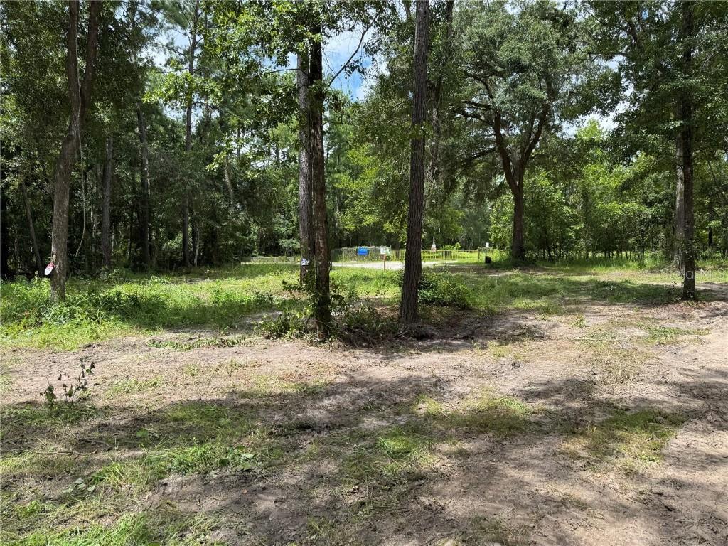 15183 NE 143rd Ter., Waldo, FL 32694