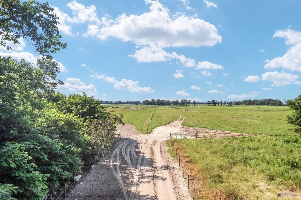 TBD SW 22nd Ct., Trenton, FL 32693