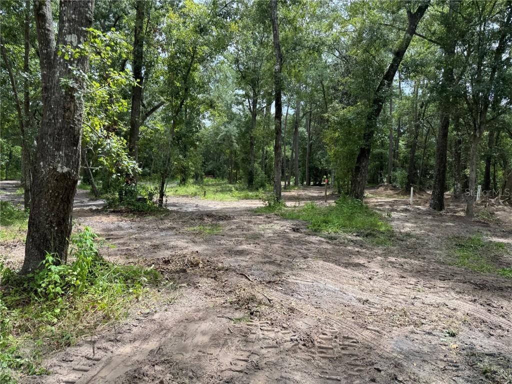 15221 NE 143rd Ter., Waldo, FL 32694