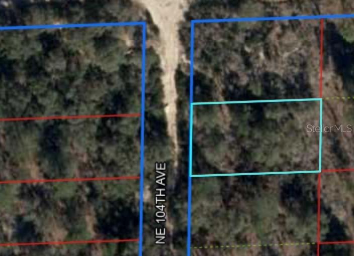 Lot 2 NE 104th Ave., Bronson, FL 32621