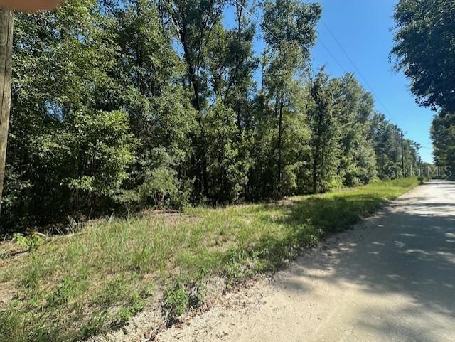 NW 38th Pl., Bell, FL 32619
