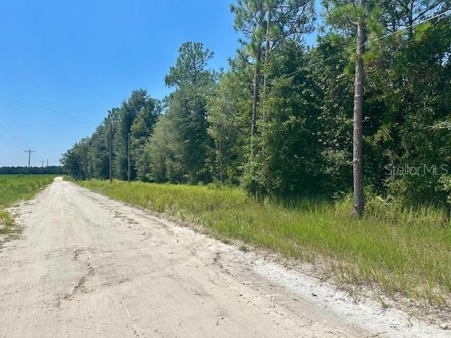 5919 NW 10th Ave., Bell, FL 32619