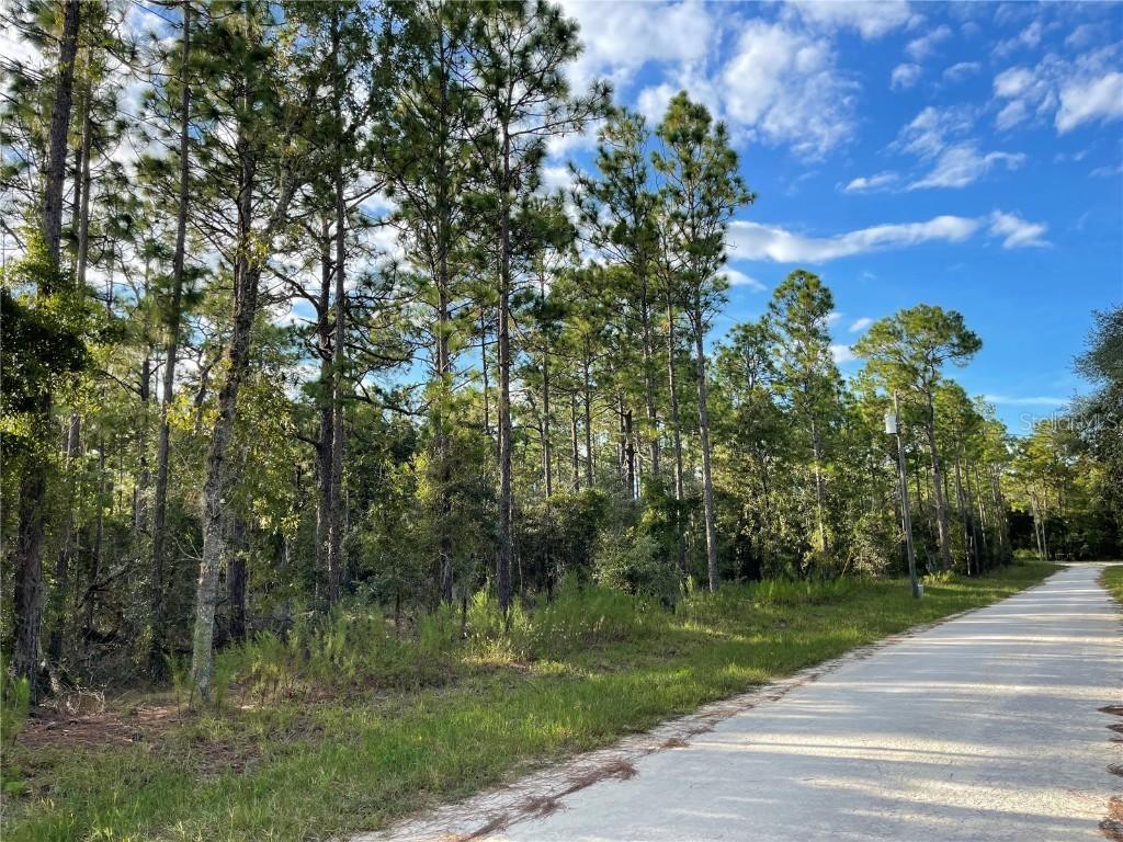 141st Ave., Morriston, FL 32668