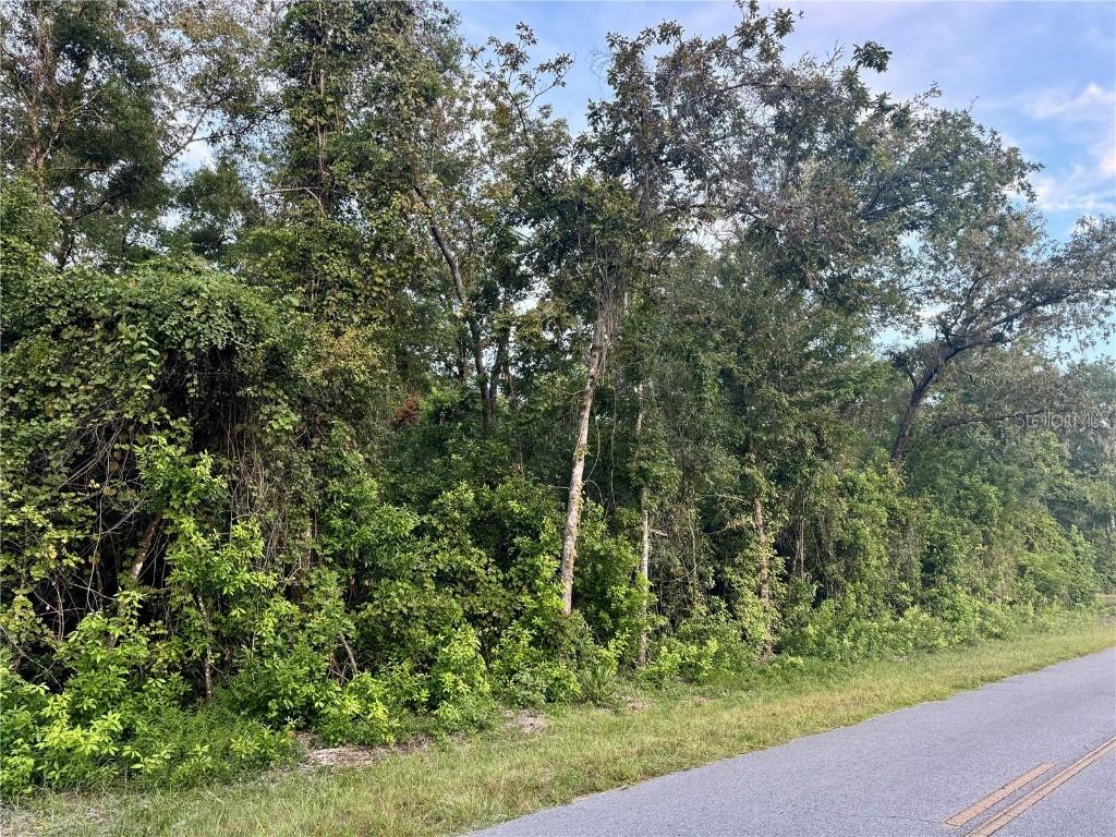 Sw Newark Dr, Fort White, FL 32038