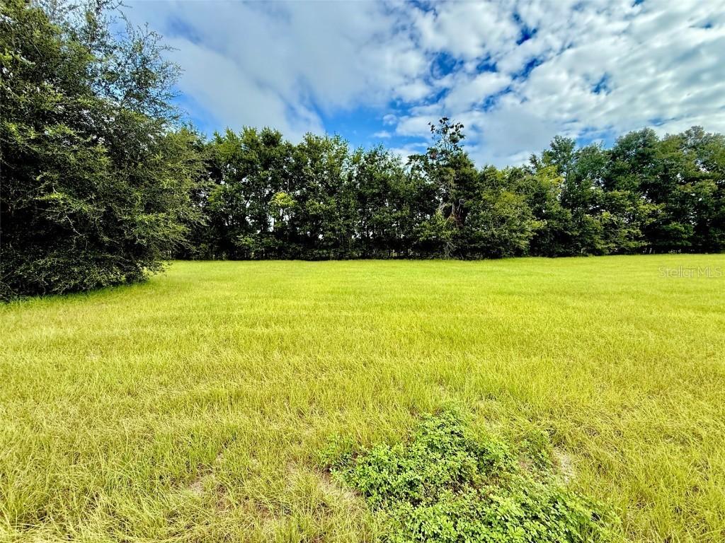 0000 NW 165th Ave., High Springs, FL 32643