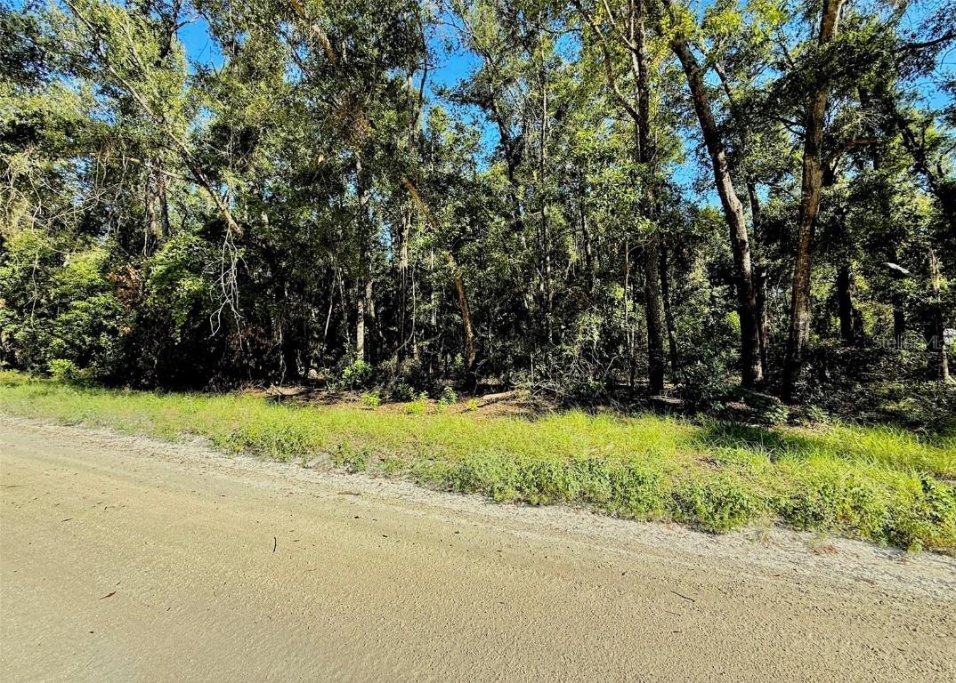 0000 NW 282 Ter., Branford, FL 32008